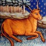 Bull